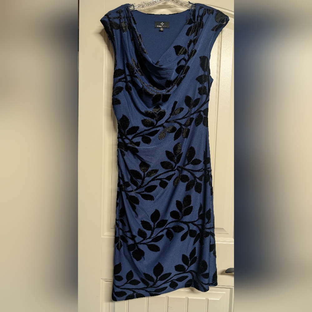 Ronni Nicole Black Velvet And Blue Dress